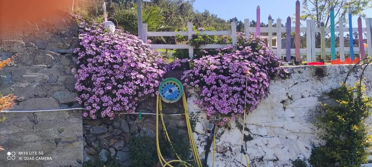 Bed and Breakfast Agrifazenda Cogoleto